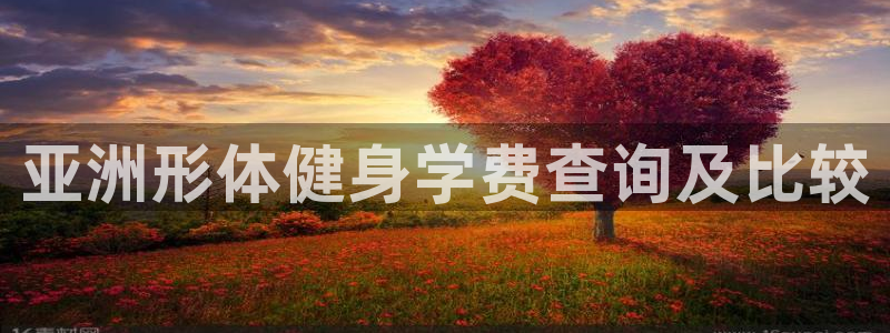 龙8国际官网版玩法