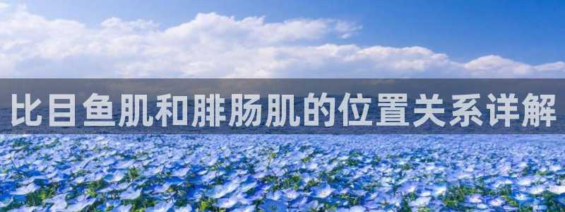 龙8游戏官方网站s