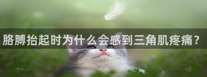 龙8国际提现