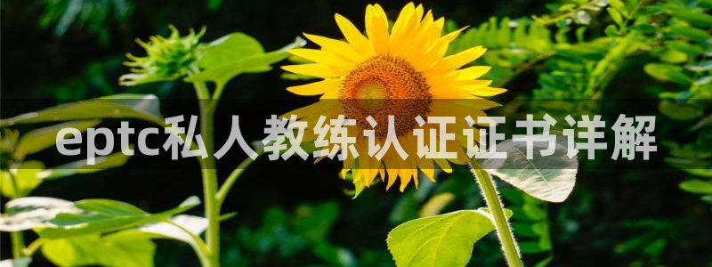 龙8国际com