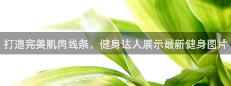 龙八国际服官网入口