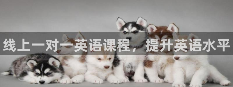 龙8国际官方网手机版下载安装