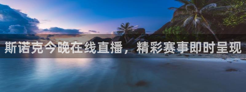 龙8国际官方网手机版下载安装