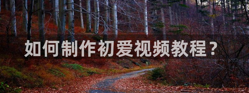 龙八棋牌