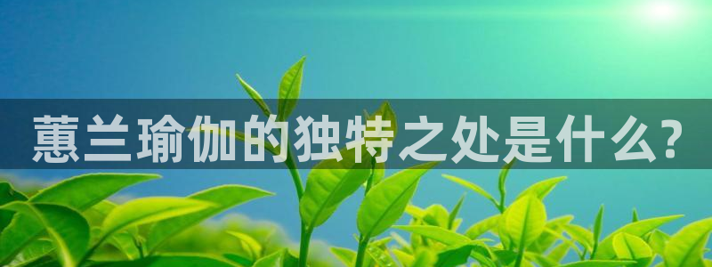 龙8国际备用