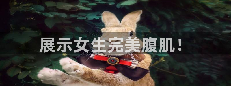 龙8国际官网多少