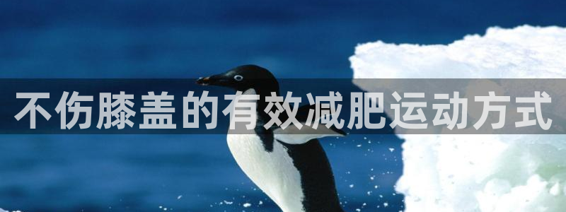 龙8国际官网下载地址