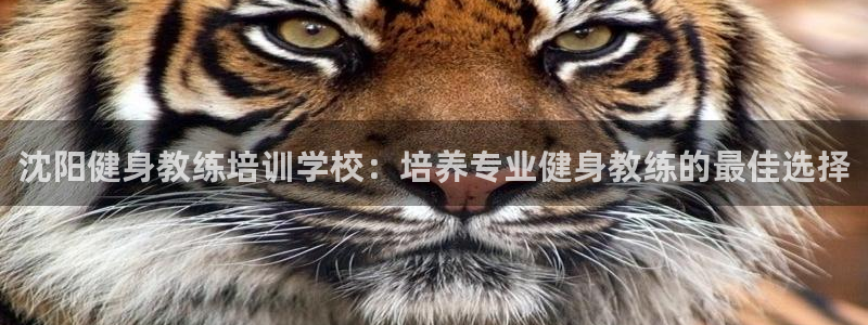 龙8国际long8