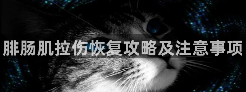 龙8官网游戏