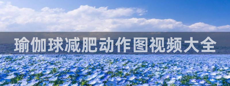 龙8国际中国官方网站
