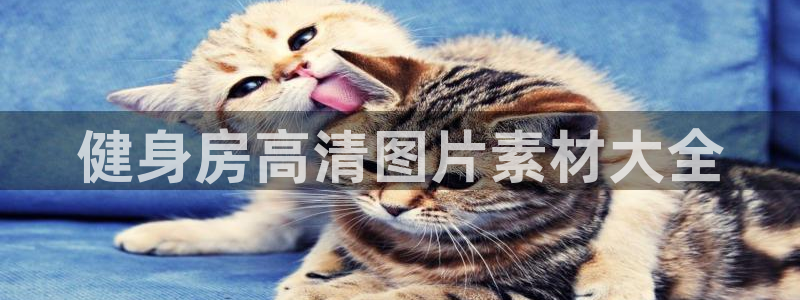 龙8官网老虎机游戏主页