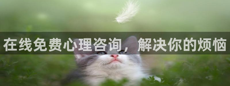 龙8国际真钱