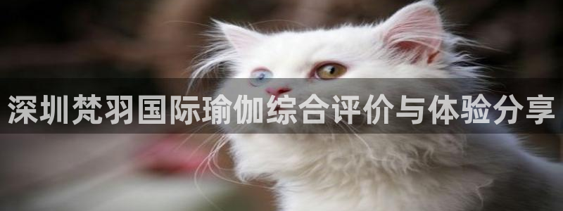 龙8娱乐国际城