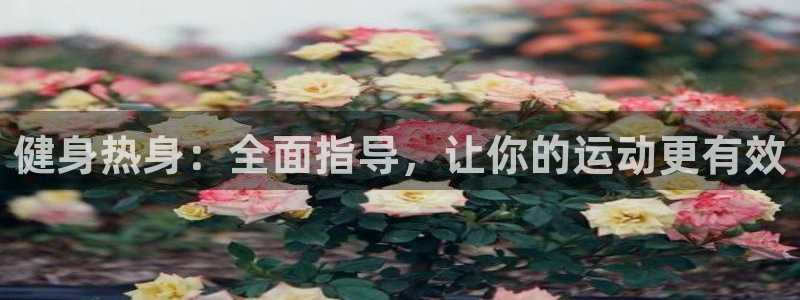 龙 八国际