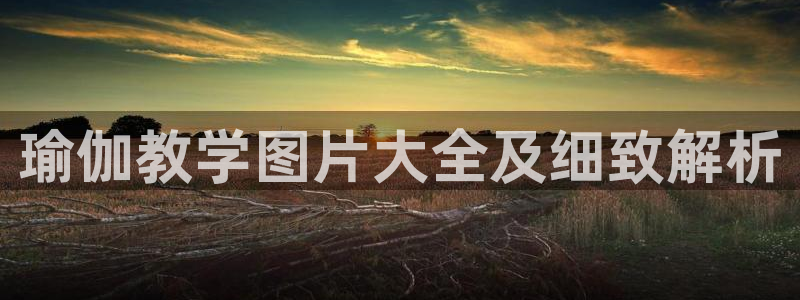 龙8国际官网app下载旧