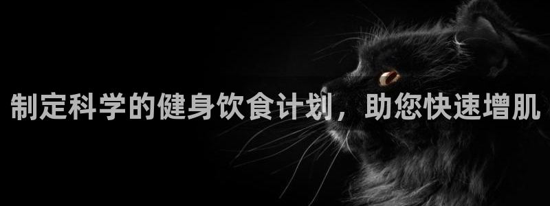 龙8电子游艺网址多少