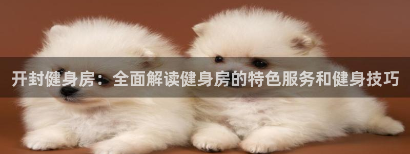 龙8国际pt网址
