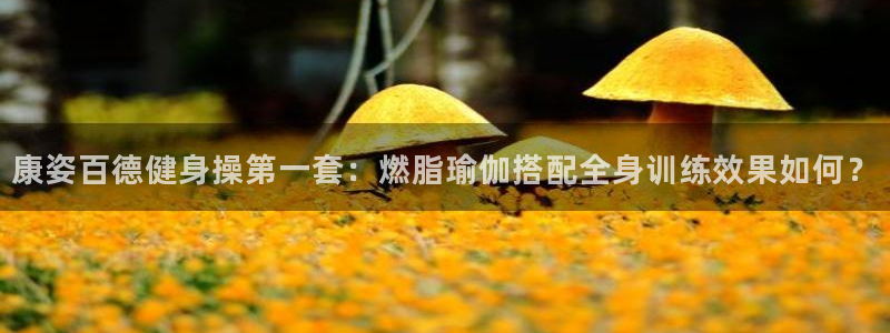 龙8老虎机手机版