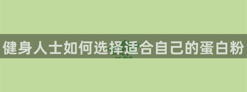 龙八棋牌