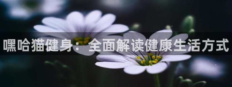 龙8国际网址是什么
