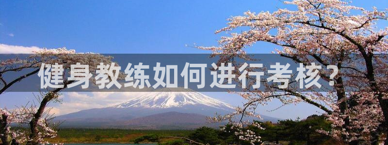 龙8国际电子平台
