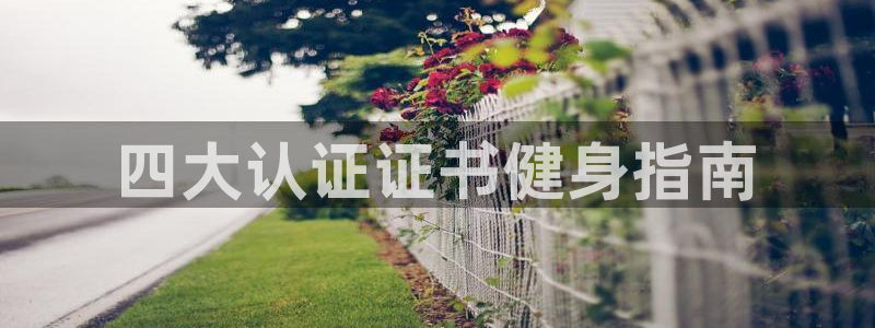 龙8国际是什么电影