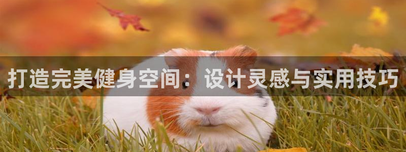 龙8-龙国际-long8-龙8游戏