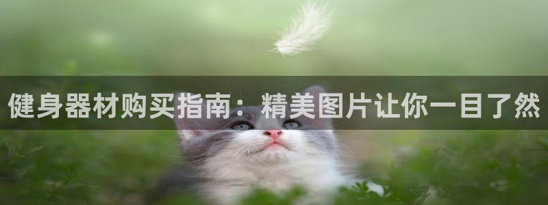 龙8国际欢迎您