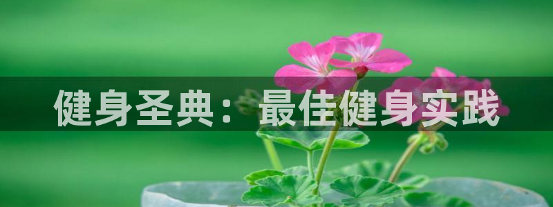 龙8国际试玩