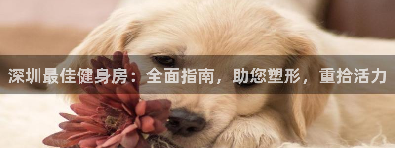 龙8国际头号玩家