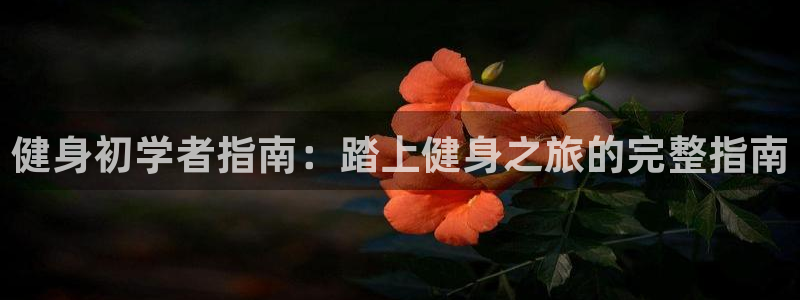 龙8国际玩家