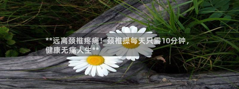 龙8国际试玩