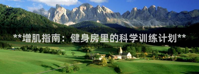 龙8国际开户
