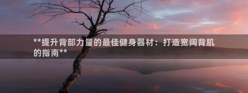 龙八国际手机客户端