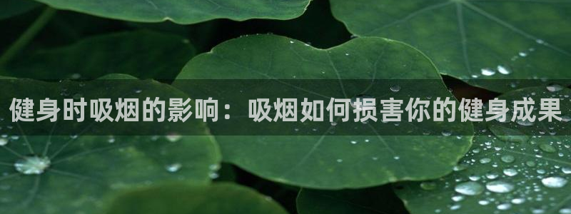 龙8国际long8
