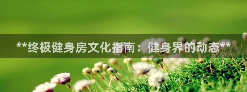 龙八棋牌