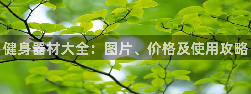 龙8国际手机官网下载安装