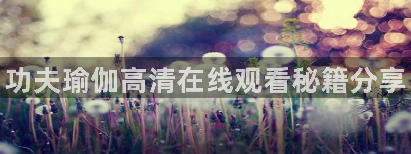 龙8电子游艺网址多少