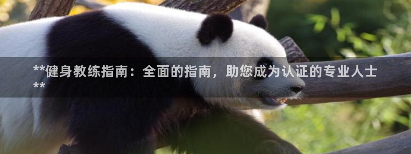 龙8国际黑钱