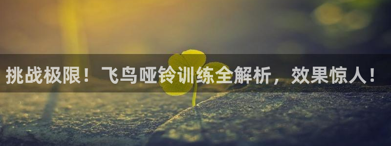 龙8官网在线试玩
