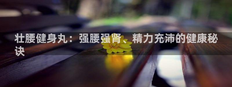 龙8国际平台