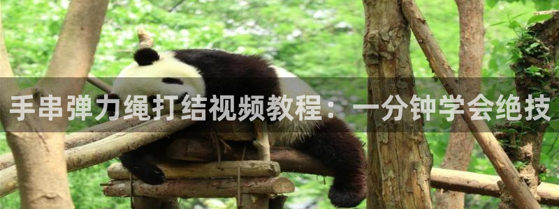 龙8游戏平台官方网站是多少