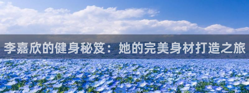 龙8娱乐国际城
