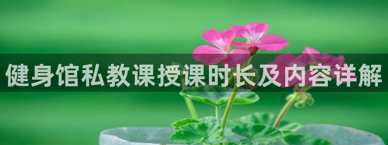 龙8官网手机登入口