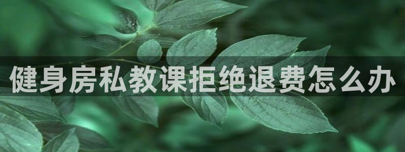龙8国际手机版官网