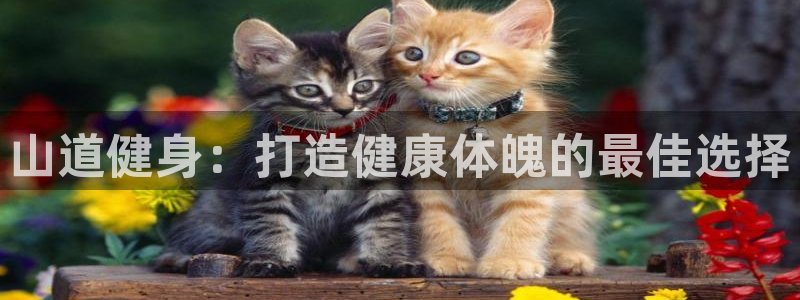 龙8国际现金