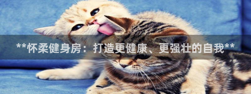 龙8国际官网老虎机
