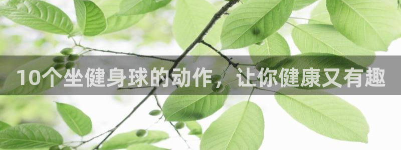 龙8国际客服