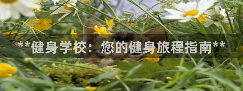 龙8国际老虎机电子