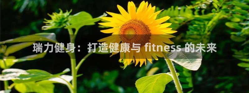 龙8国际头号玩家下载